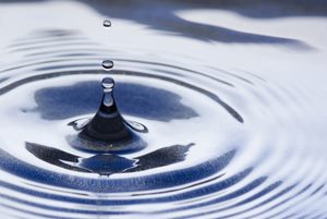 shutterstock_69107914.jpg