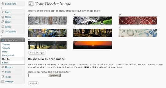 wordpress3_2010headers.JPG