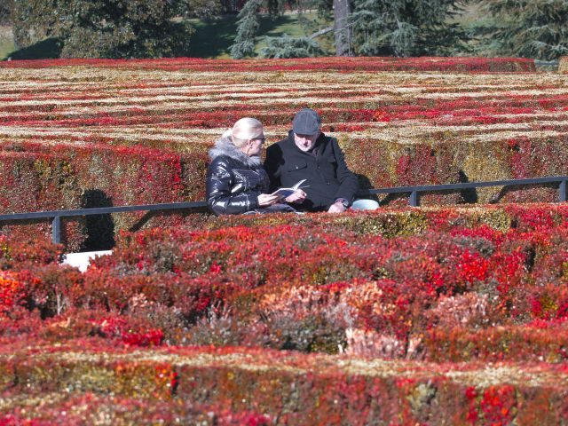 Two people sharing a book