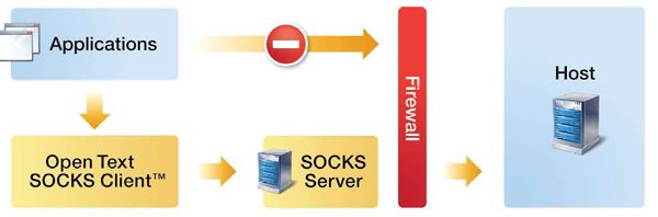 open text_socks_2009.jpg