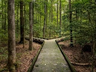 Which Customer Data Platform Path Should You Take? – CMSWire