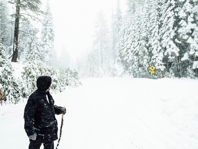 man walking through snowy woods looking back over his shoulder