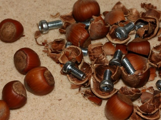 nuts and bolts