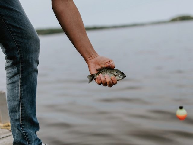 catch and release fishing