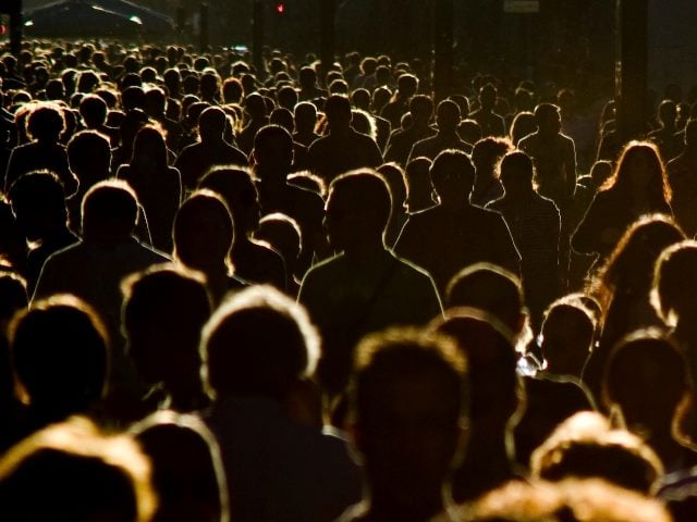 Humans in a crowd.