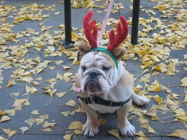 Meeting Customer Needs This Holiday Season