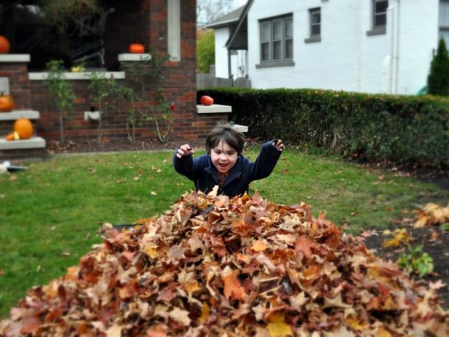 jumping into fall leaves