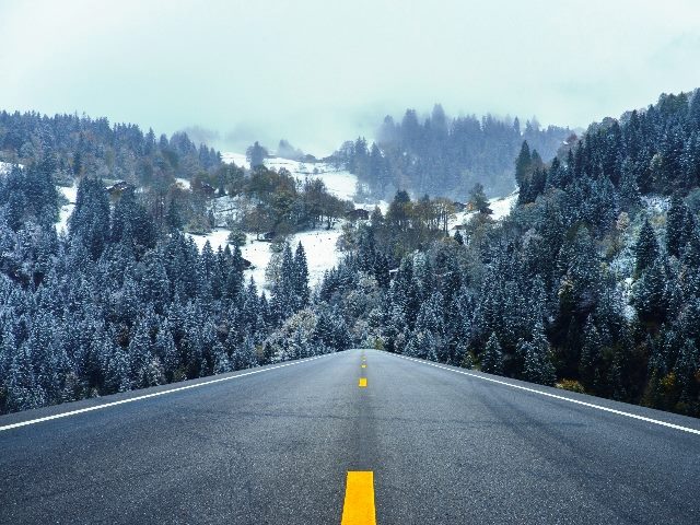 Landscape of long asphalt road through the forest, signaling the road ahead for AI in webinars.  