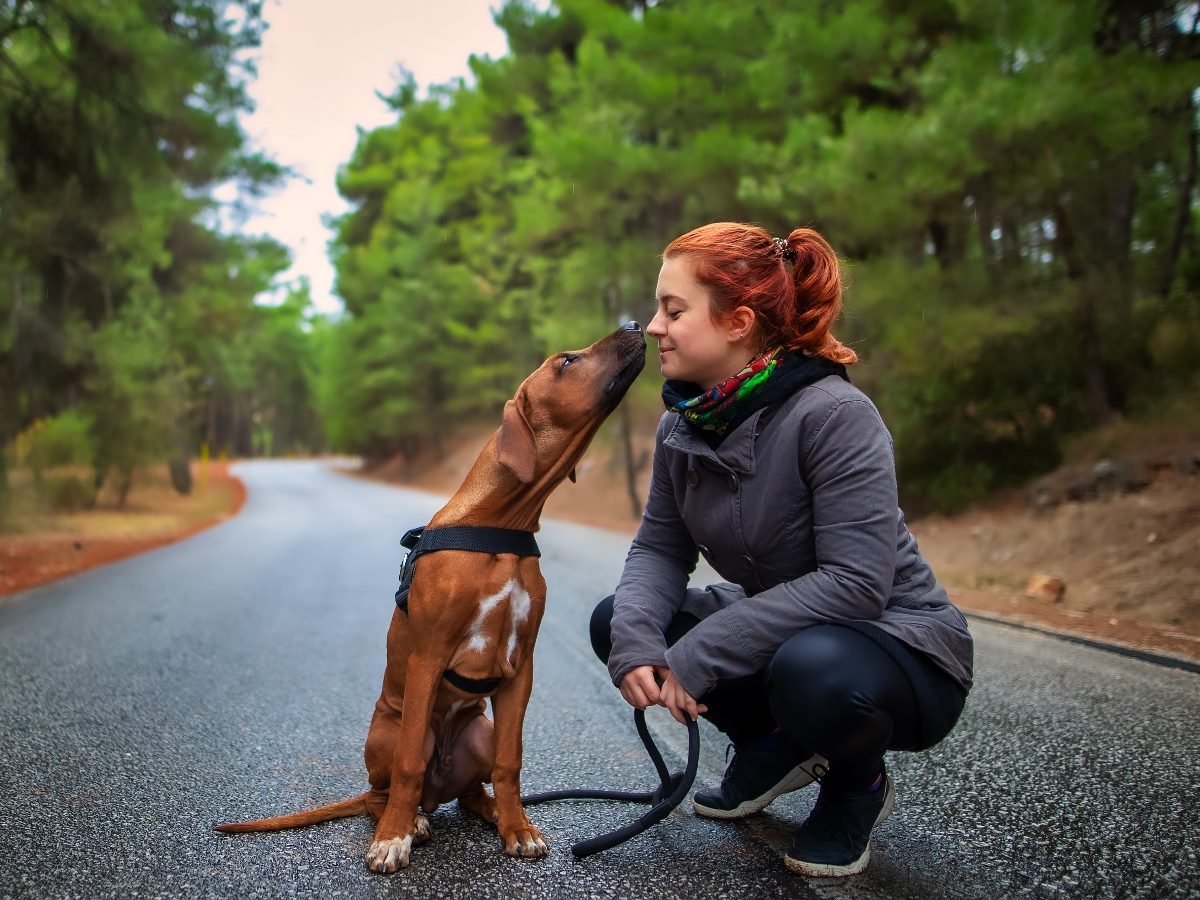 A woman crouches on a quiet forest road as a brown dog in a harness gently touches his nose to hers, creating a warm, affectionate moment between them.