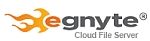egnyte_logo_2010.jpg
