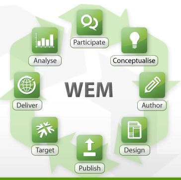 fatwire_web_concept.jpg