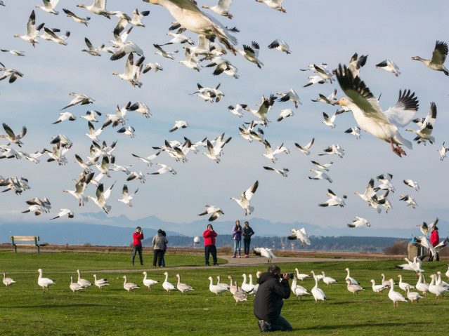 5 Steps for Building a SharePoint Migration Plan