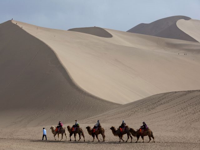 journey by camel
