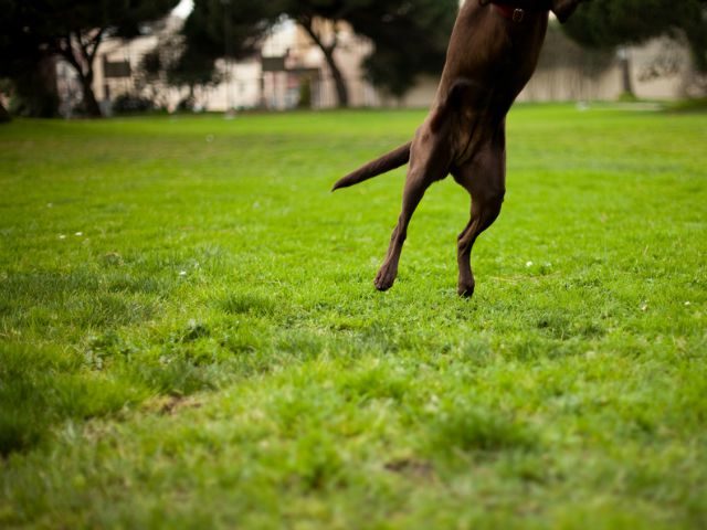 Jump