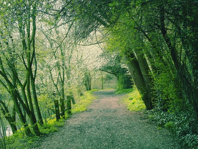 path