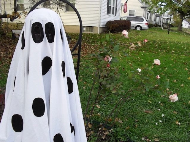 kid on a lawn in a Charlie Brown ghost costume (white sheet with a lot of holes inked on in black ink)