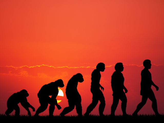 Against the glowing sunset of the plains, a sequence of figures evolves gracefully from a chimp to modern man, illustrating humanity's timeless journey.