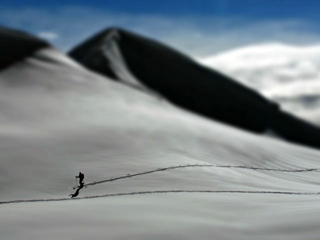 solo skier