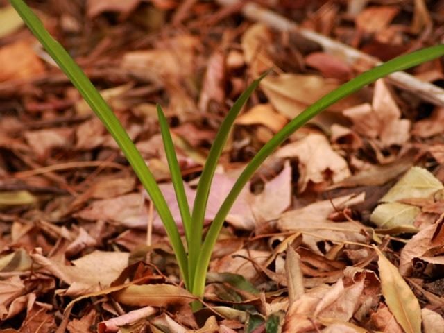 IDC Predicts Big Changes Fast Growth in Digital Marketing