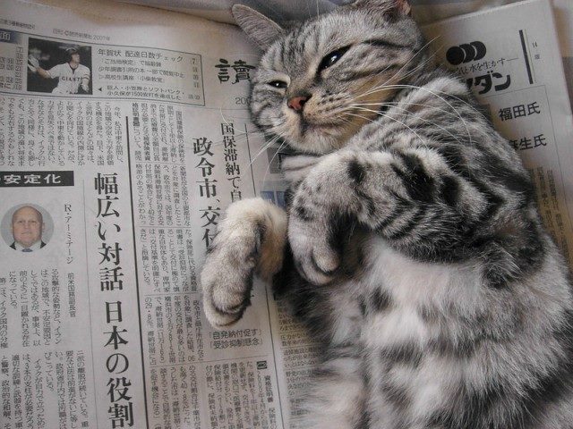 A cat lays on its backside on top of a newspaper.