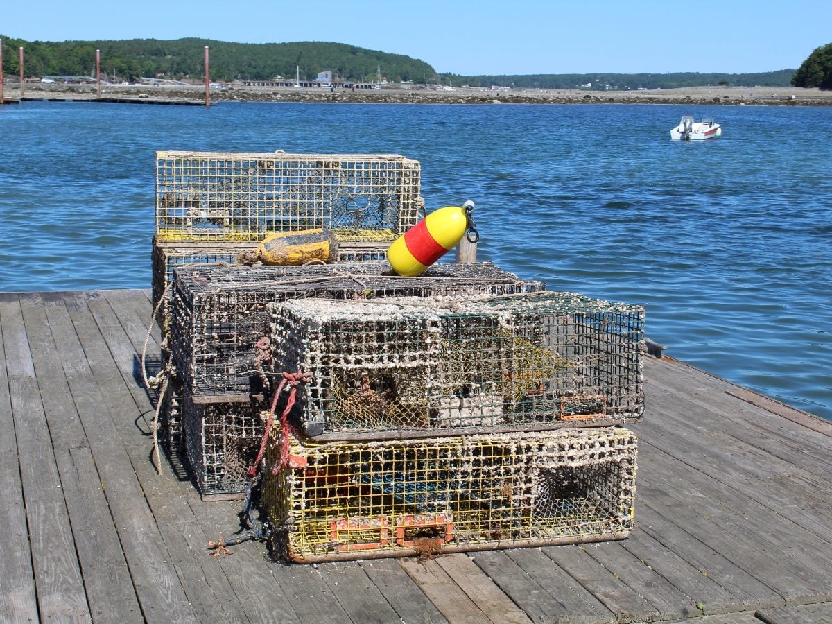 Weathered wire lobster traps stacked on a wooden dock, their mesh crusted with barnacles and salt residue from repeated use in the water. A yellow and red buoy marker sits atop the traps, tied with rope, alongside a worn yellow buoy float. In the background, calm blue harbor water stretches toward a tree-lined shoreline, with a small white motorboat anchored offshore and a low wooden pier visible to the left.l