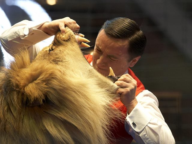 lion tamer in the Moscow circus looking into a lion's mouth
