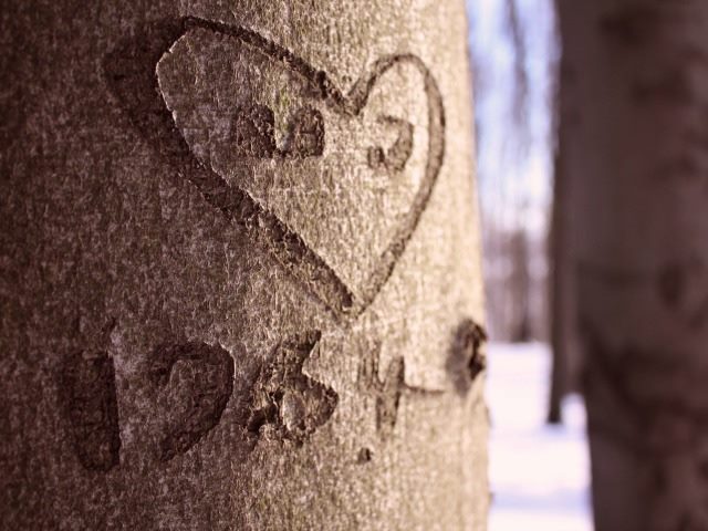 1964 Love