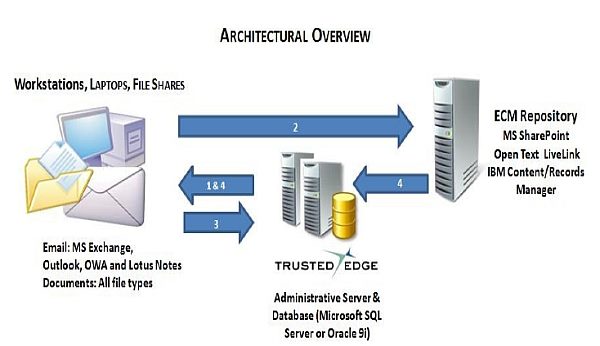 File tek_2009.jpg