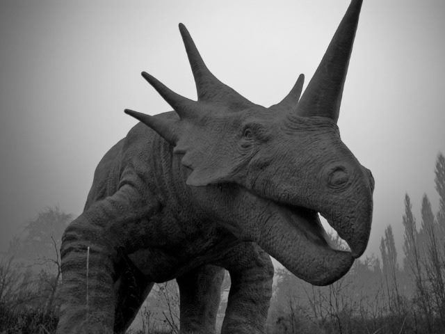 monster in the mist