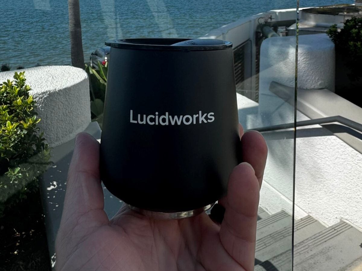 A hand holds a black Lucidworks-branded tumbler outdoors on a sunny day, with water, greenery, and white architectural features visible in the background.