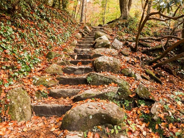  A rock stairwell in autumn on the Tennessee Greigs Falls Trail.