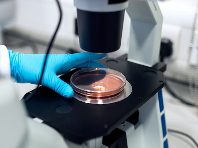lab setting with a gloved hand placing a petri dish under a microscope