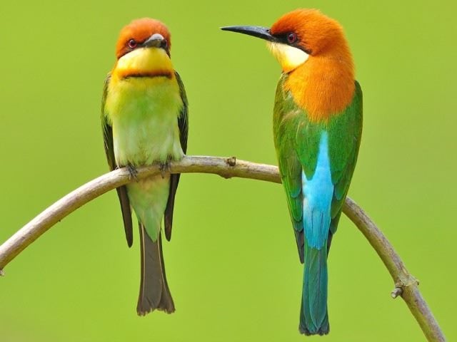 Tweets That Capture the Heart of Digital Marketing MarTech