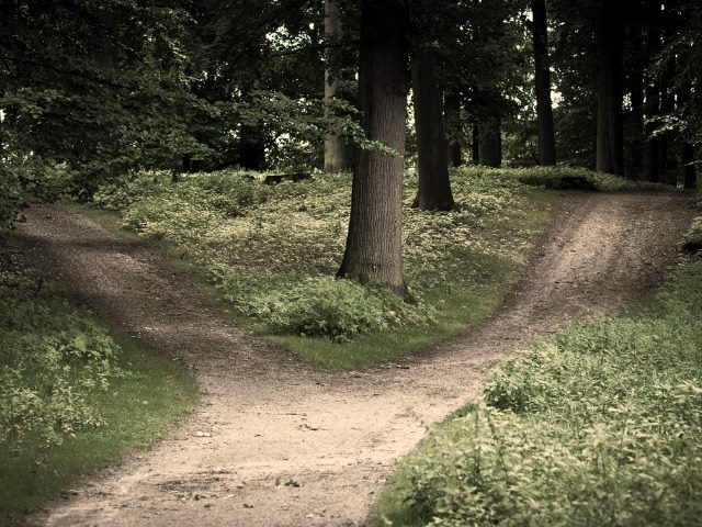 Excuse Me SharePoint A Crossroads or an OnRamp SPTechCon