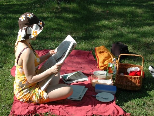 picnic with a paper
