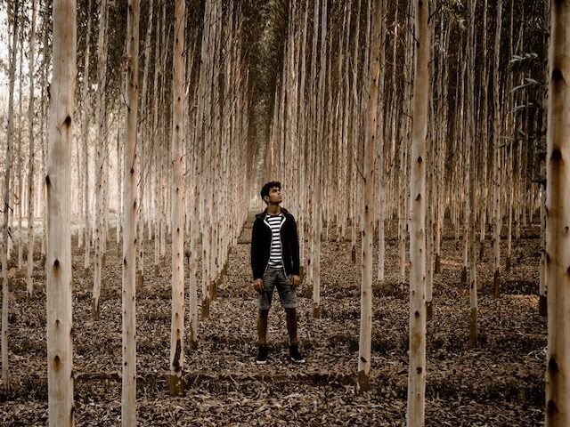 young man amongst saplings