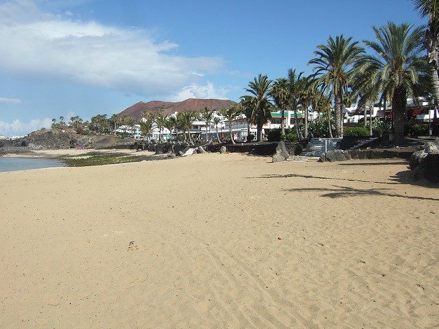 Shot of a beach with a house and palm trees as a backdrop.