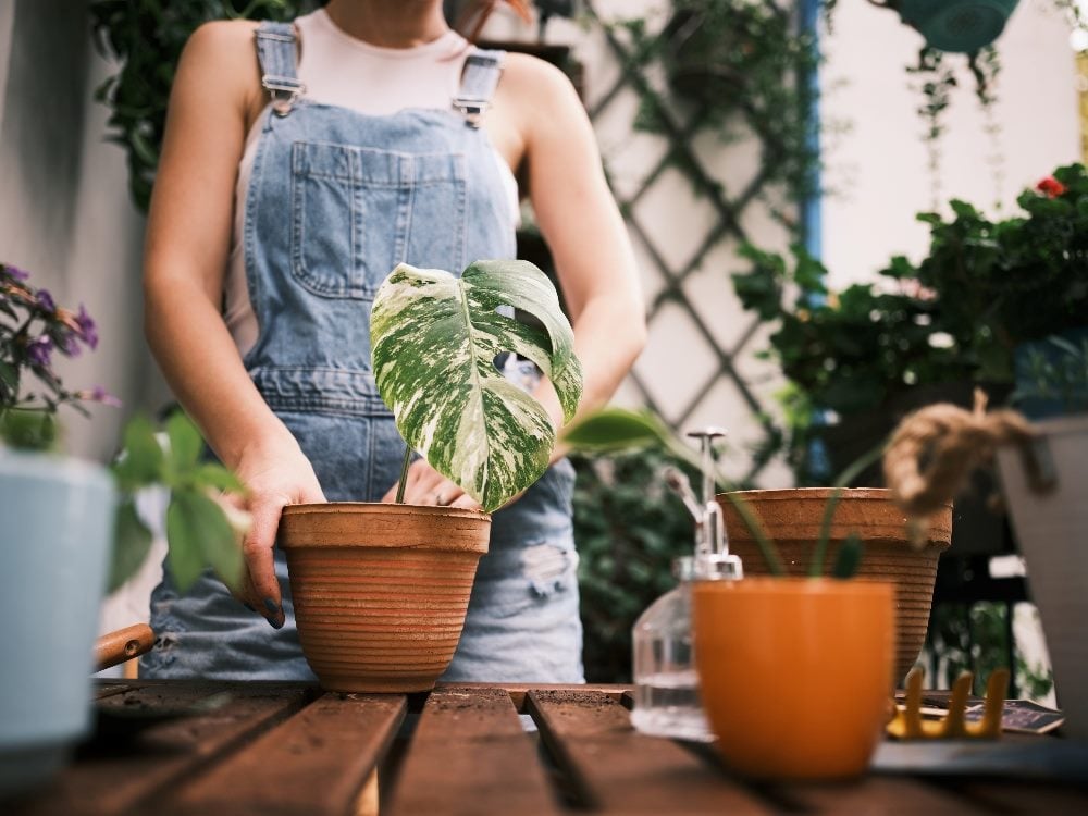 A person wearing bib overalls is caring for potted plants on a balcony, nurturing green life in an urban environment, in piece about customer nurturing.