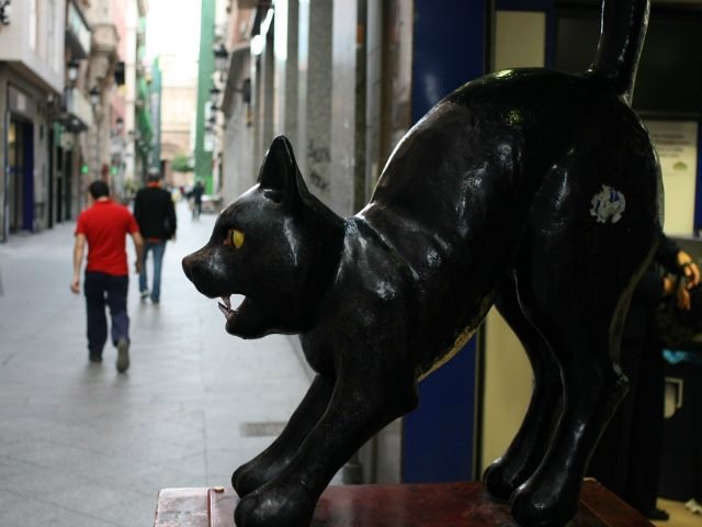 hissing black cat