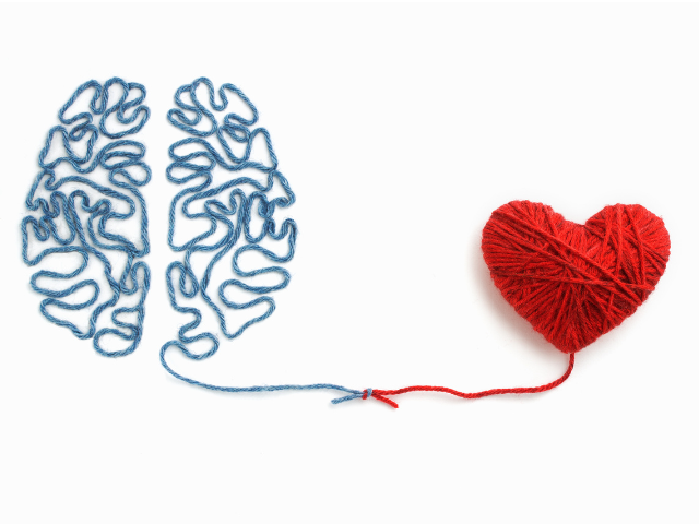 A connected heart and brain made out of yarn 