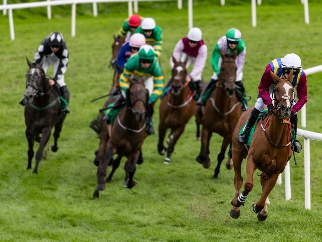 Lead horse turns a corner trailed by six competitors.