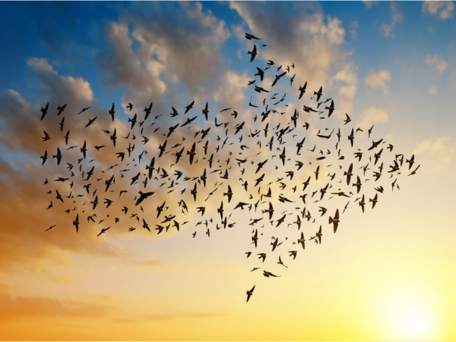 Birds migrating south in the shape of an arrow - cloud migration concept