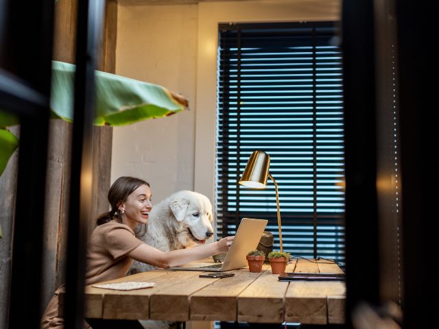 woman and a dog staring into a laptop.