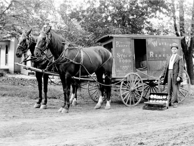 travelling salesman
