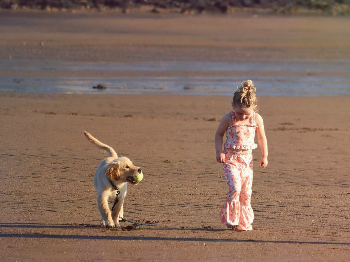 Dog and girl walking on a beach.