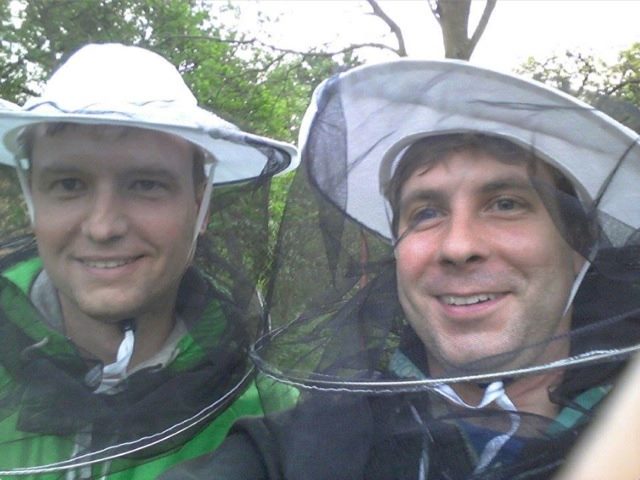 Workplace Lessons From a Beehive