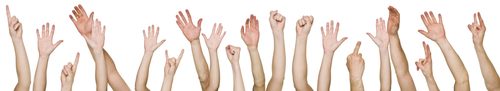 shutterstock_54984388.jpg